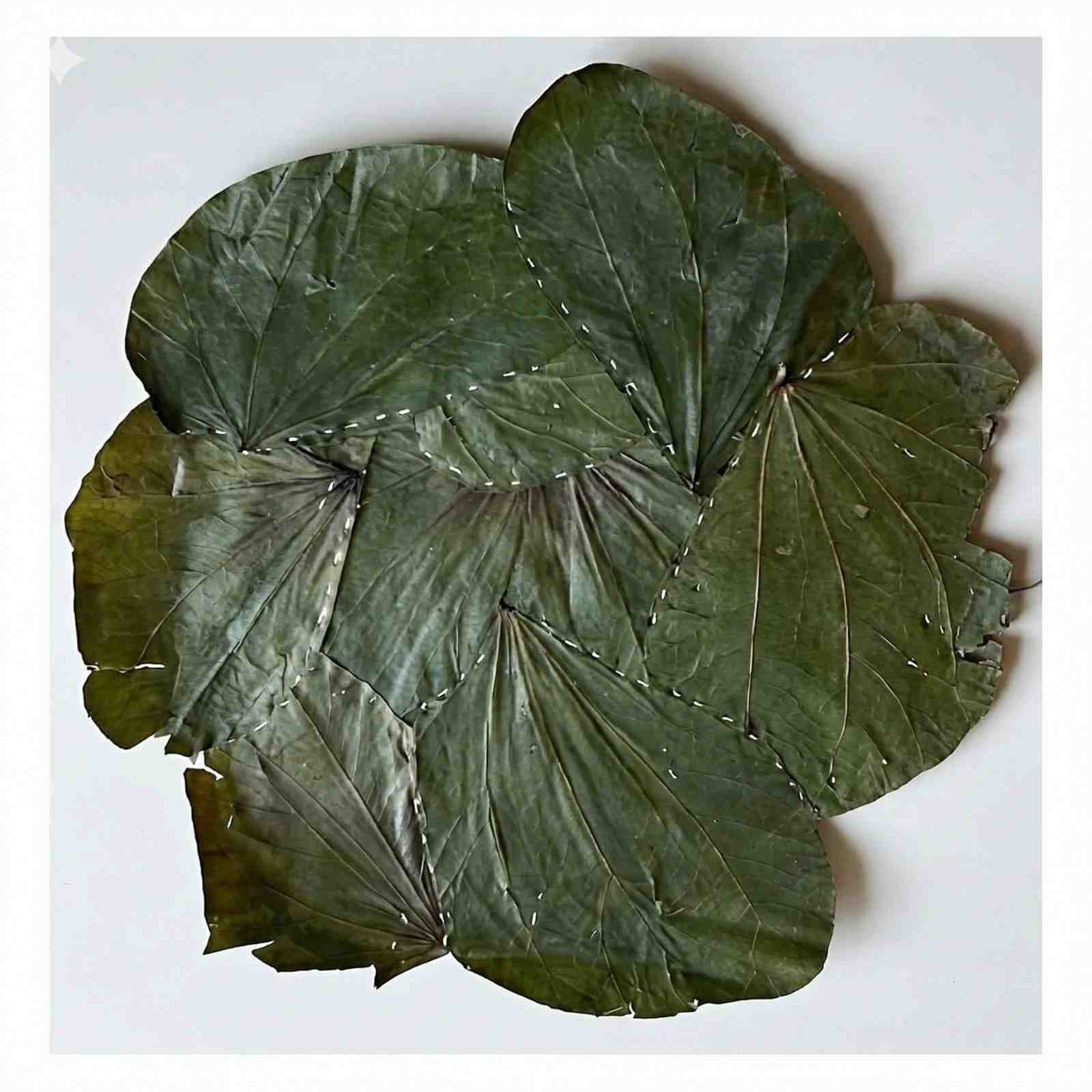 12 inch Square Siali Plates