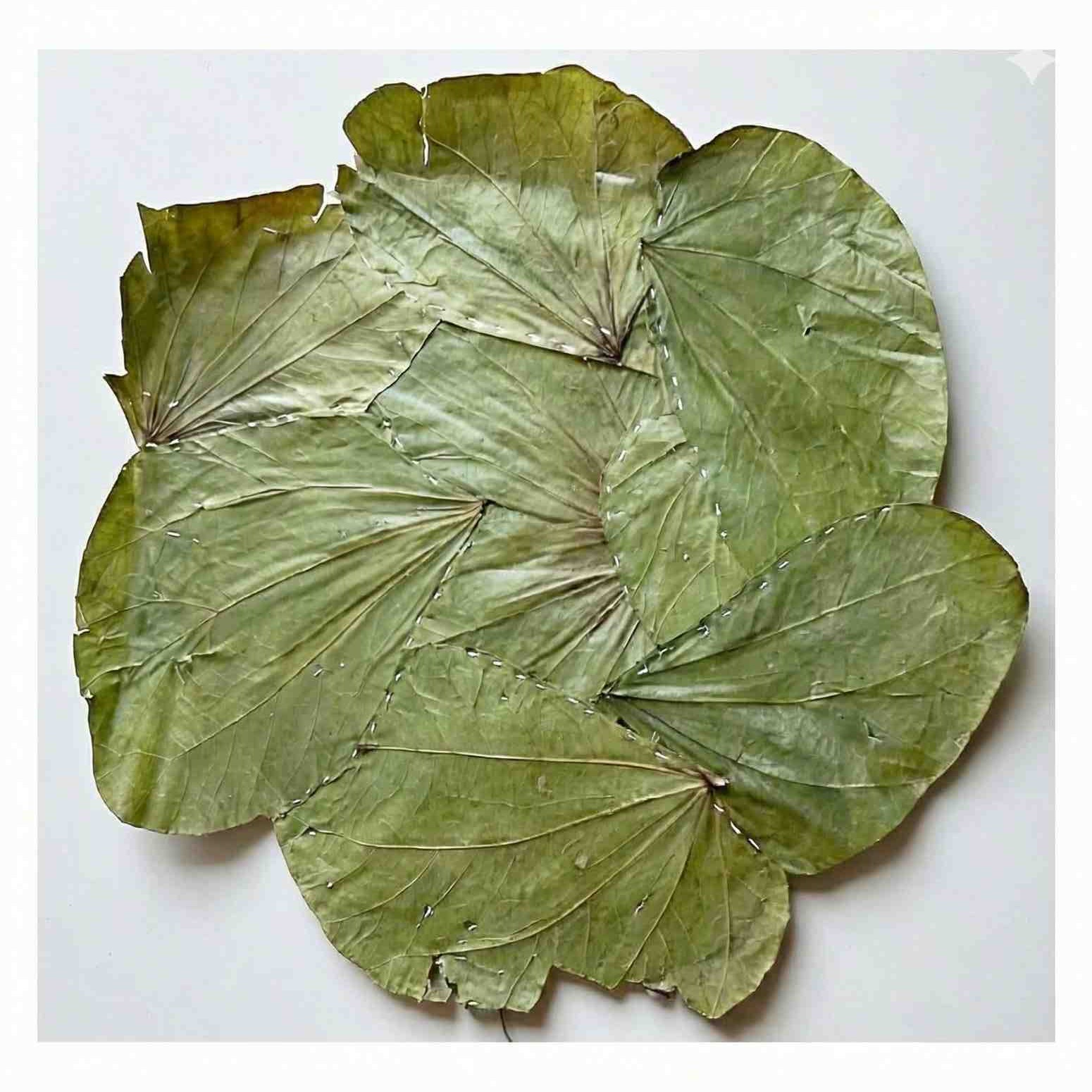 12 inch Square Siali Plates